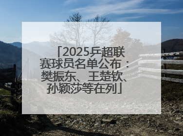 2025乒超联赛球员名单公布：樊振东、王楚钦、孙颖莎等在列