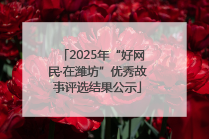 2025年“好网民·在潍坊”优秀故事评选结果公示