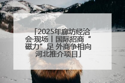 2025年廊坊经洽会·现场丨国际招商“磁力”足 外商争相向河北推介项目