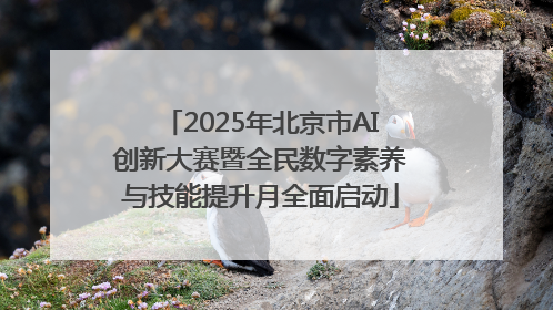 2025年北京市AI创新大赛暨全民数字素养与技能提升月全面启动
