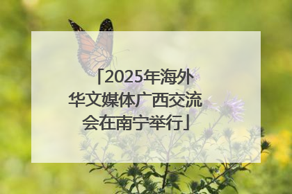 2025年海外华文媒体广西交流会在南宁举行
