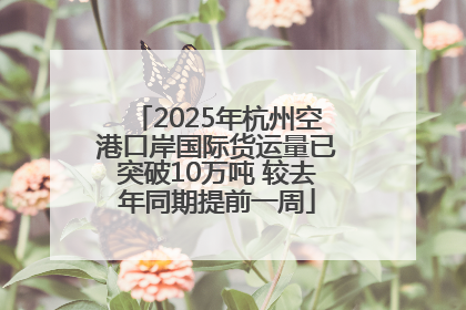 2025年杭州空港口岸国际货运量已突破10万吨 较去年同期提前一周