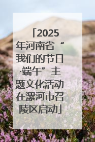 2025年河南省“我们的节日·端午”主题文化活动在漯河市召陵区启动