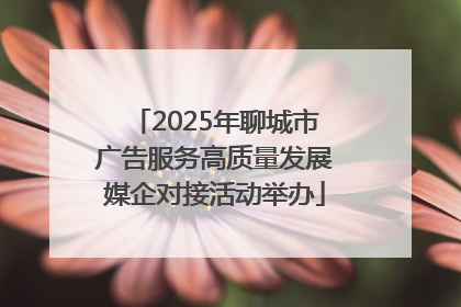 2025年聊城市广告服务高质量发展媒企对接活动举办