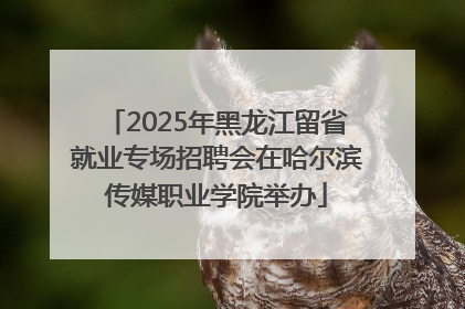 2025年黑龙江留省就业专场招聘会在哈尔滨传媒职业学院举办