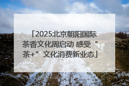 2025北京朝阳国际茶香文化周启动 感受“茶+”文化消费新业态
