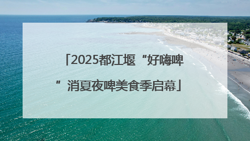 2025都江堰“好嗨啤”消夏夜啤美食季启幕