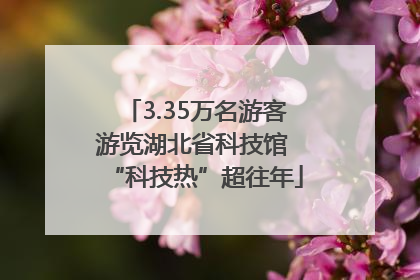 3.35万名游客游览湖北省科技馆 “科技热”超往年