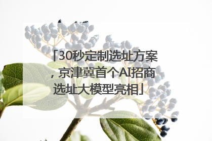 30秒定制选址方案，京津冀首个AI招商选址大模型亮相