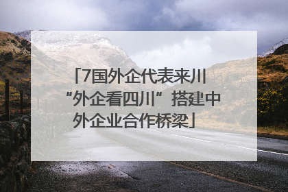 7国外企代表来川 “外企看四川”搭建中外企业合作桥梁