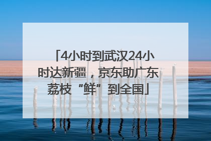 4小时到武汉24小时达新疆，京东助广东荔枝“鲜”到全国