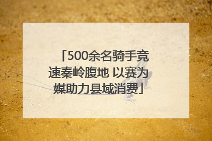 500余名骑手竞速秦岭腹地 以赛为媒助力县域消费