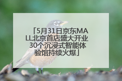 5月31日京东MALL北京首店盛大开业 30个沉浸式智能体验馆持续火爆