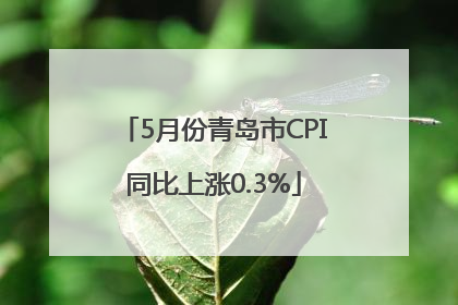 5月份青岛市CPI同比上涨0.3%