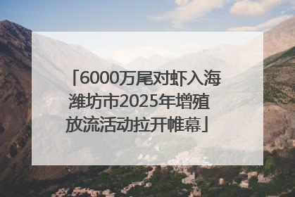 6000万尾对虾入海 潍坊市2025年增殖放流活动拉开帷幕