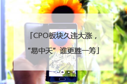 CPO板块久违大涨，“易中天”谁更胜一筹
