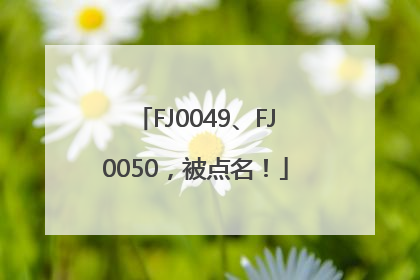 FJ0049、FJ0050，被点名！